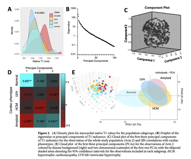 exploratory data analysis