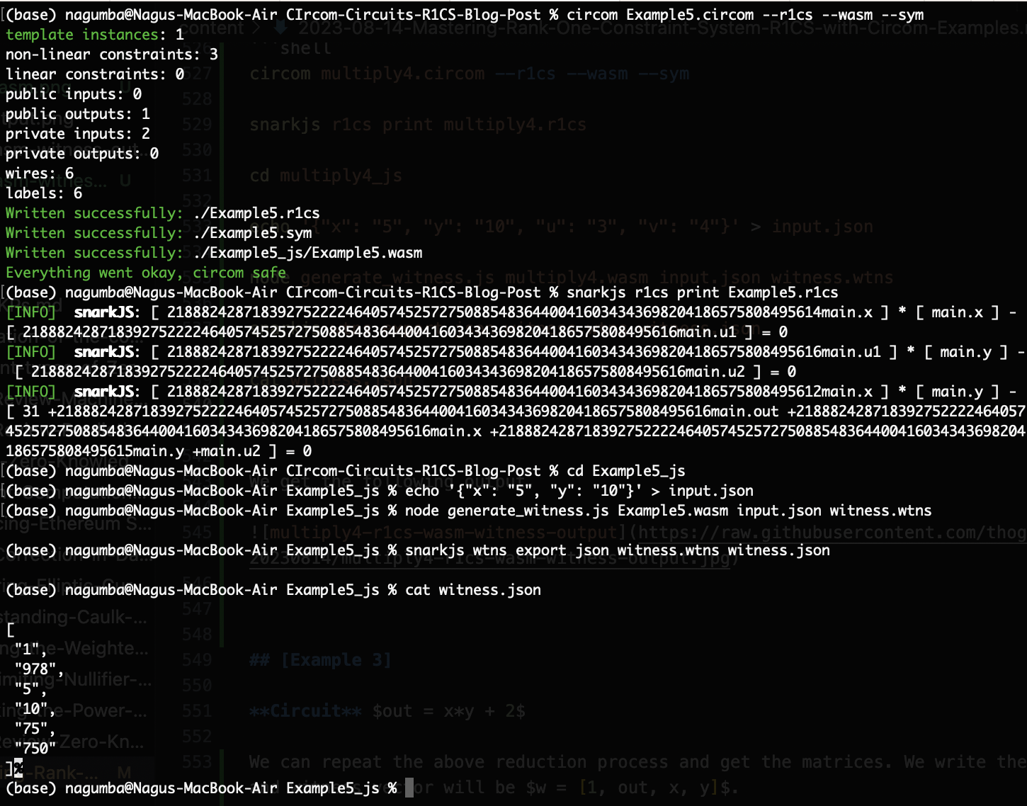 Example5-r1cs-wasm-witness-output